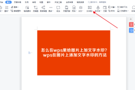 怎么在wps里给图片上加文字水印？wps在图片上添加文字水印的方法