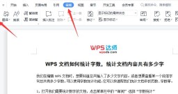 WPS文档如何统计字数，统计docx文档内容共有多少汉字
